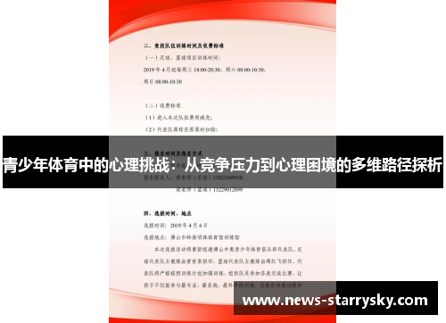 青少年体育中的心理挑战：从竞争压力到心理困境的多维路径探析