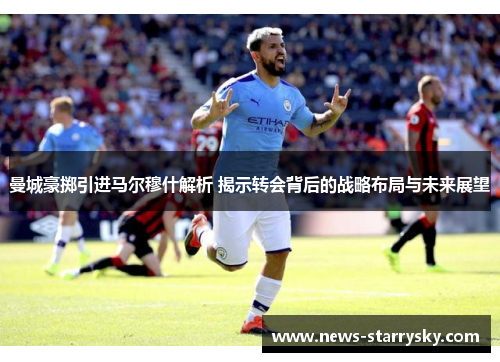 曼城豪掷引进马尔穆什解析 揭示转会背后的战略布局与未来展望